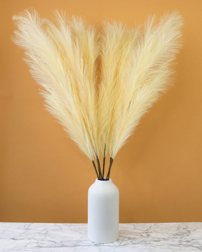 pampas grass by gardengreen