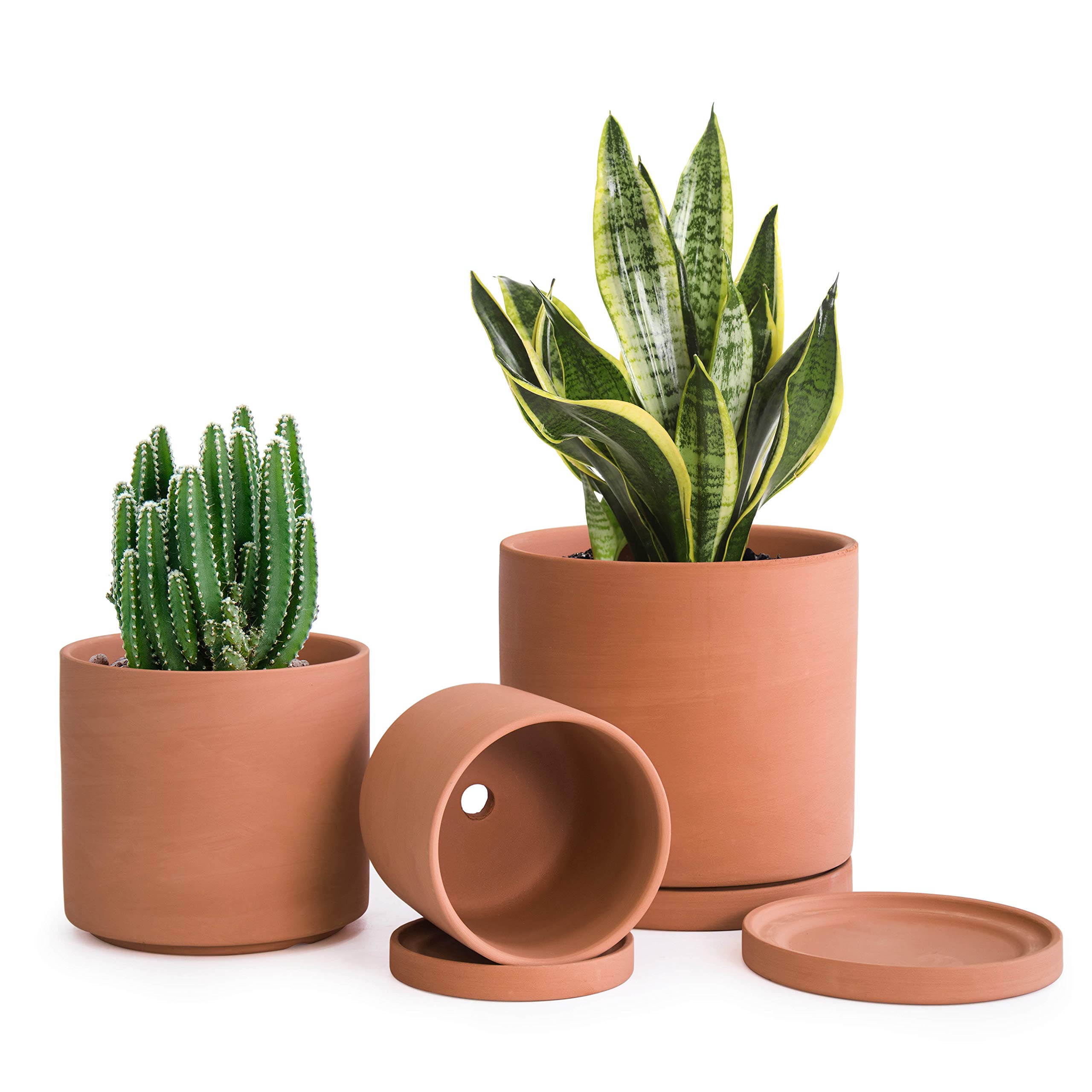 terracotta pots, clay pots by gardengreen