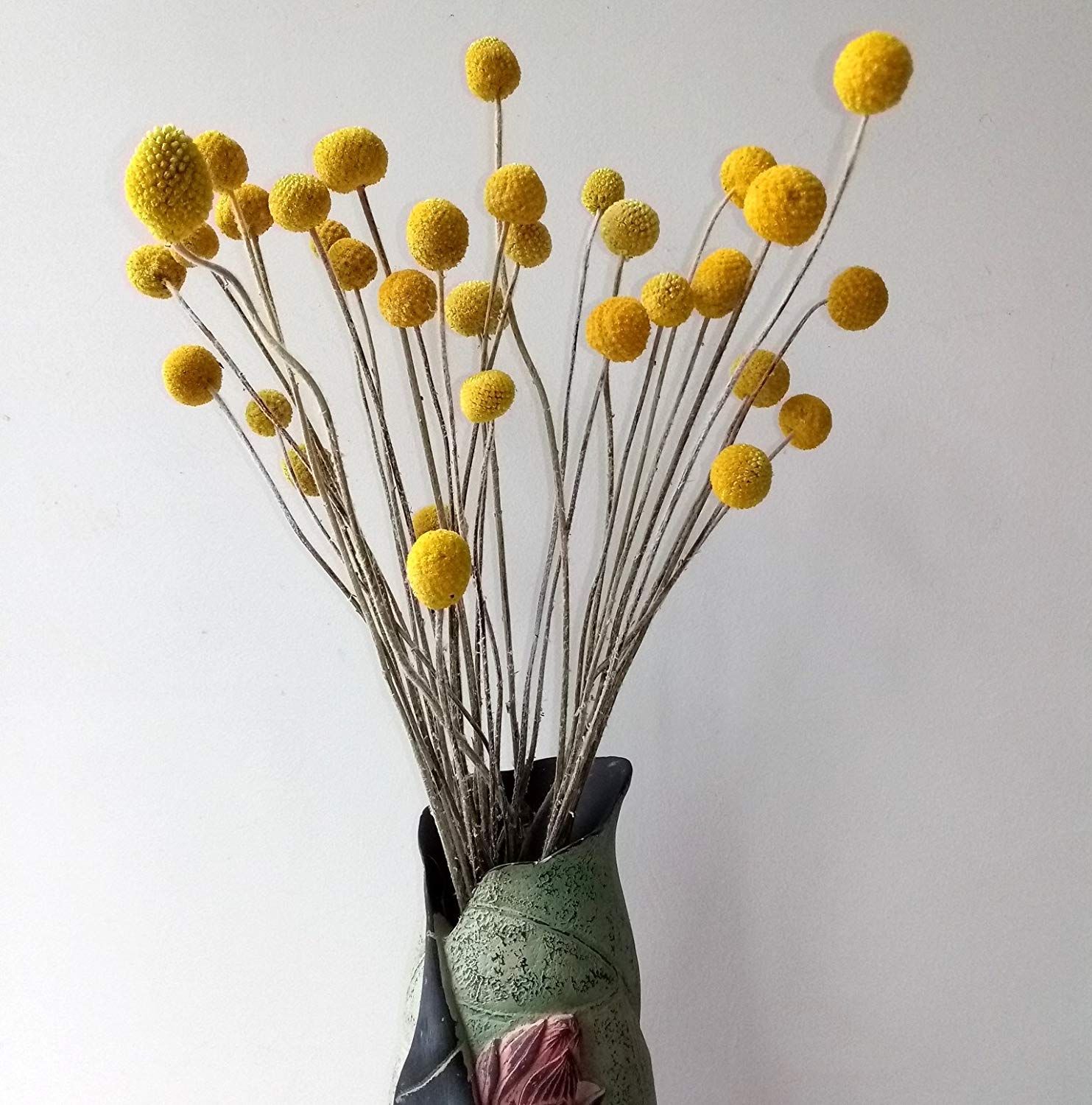 billy buttons, enjoy the elegance suggested by gardengreen