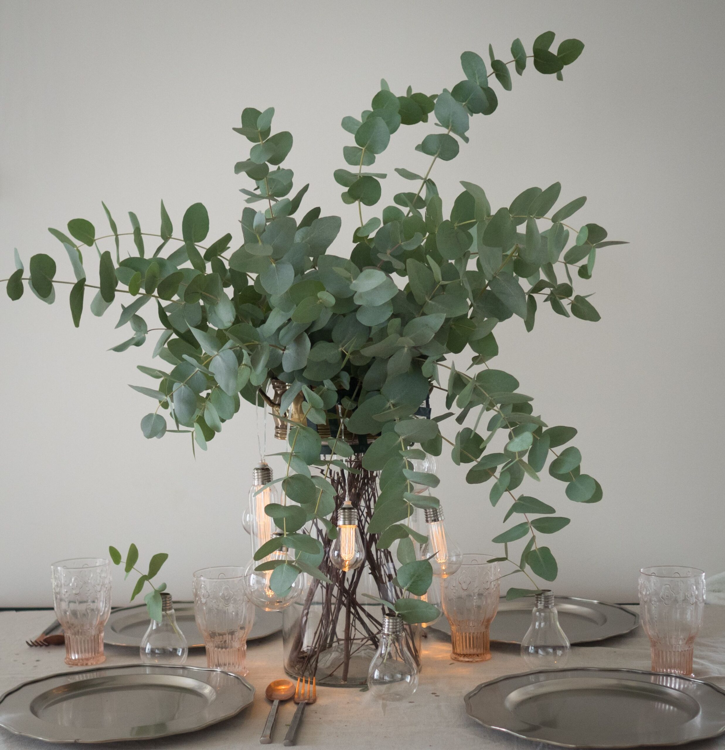 eucalyptus leaves in a vase offered by gardengreen 