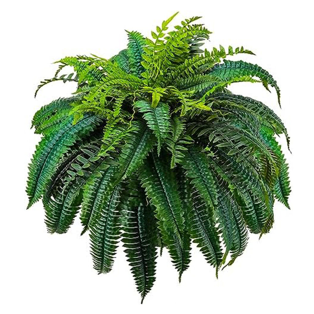 artificial ferns by gardengreen