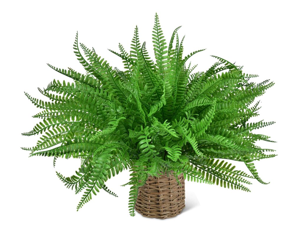 faux ferns in basket