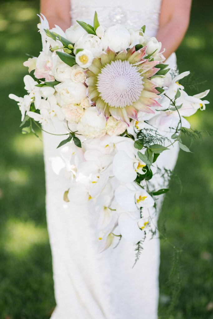 white protea bridal bouquet