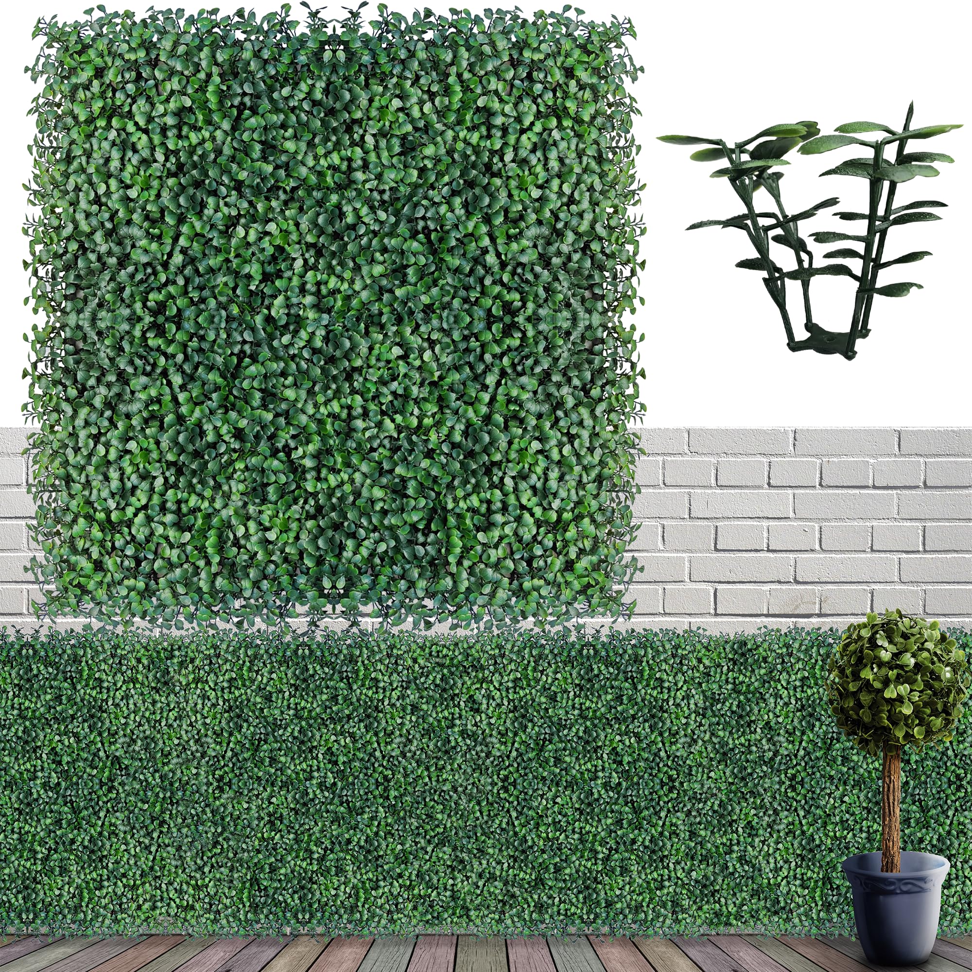 boxwood wall panels by gardengreen