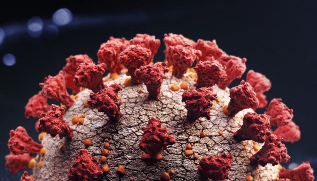 Dynamic charts and graphs demo page