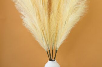 pampas grass by gardengreen