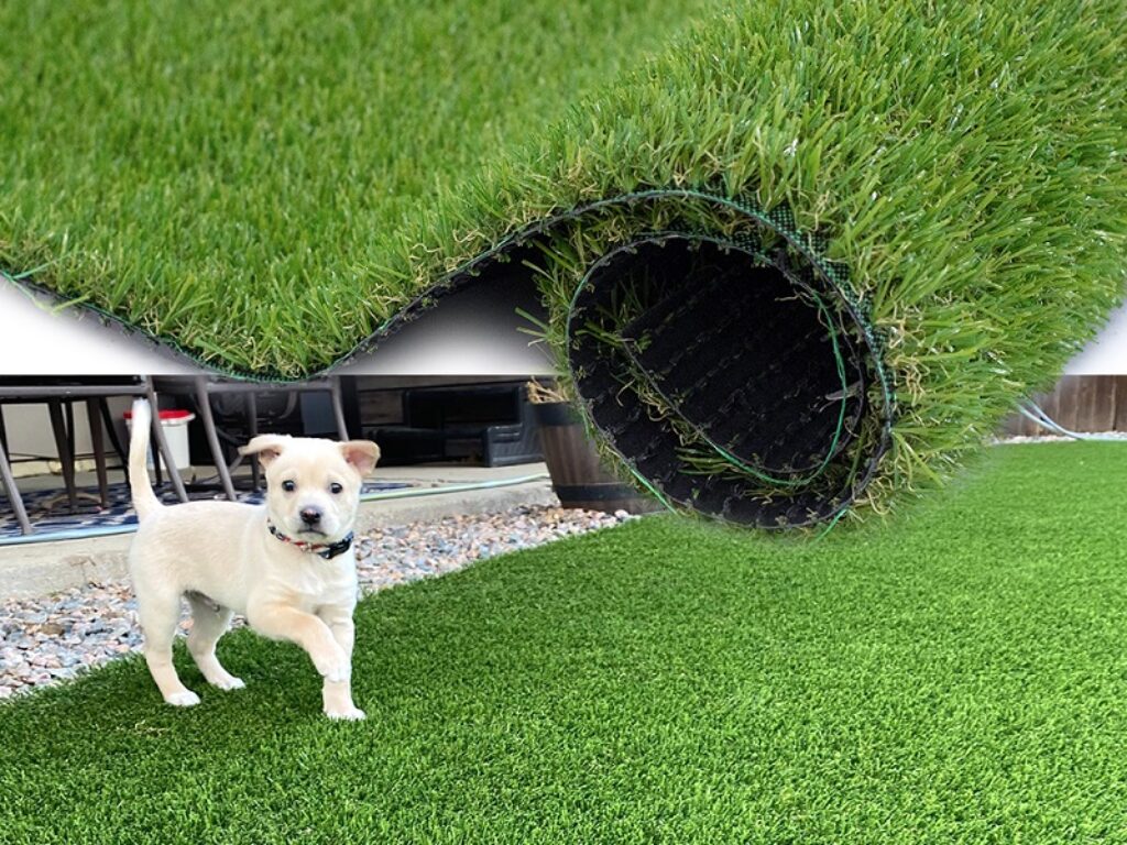 dog friendly best artificial grass
