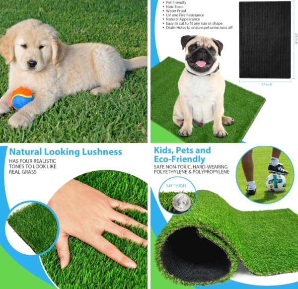 pet truf garden green