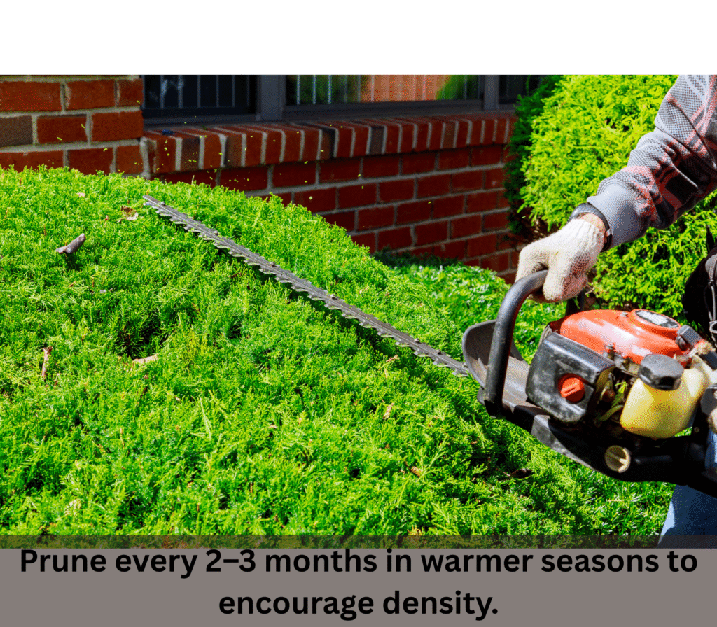 how to do pruning, exact method safley