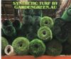 All-Seasons Vs Budget Synthetic Turf Australia: