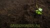 australian soils
