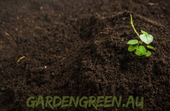 australian soils