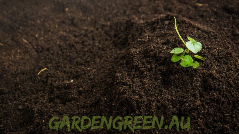 australian soils