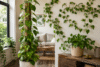 do not hang it from a basket, the plant saves energy and keeps its leaves small.