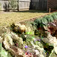 Groundcover plants spaced out across a mulched garden bed before planting