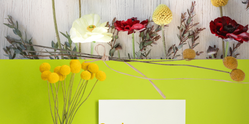 Billy Button Flowers: Bringing Matchless Elegance to Your Space