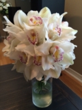 Cymbidium Orchids, A Comprehensive guide to floral Arrangement