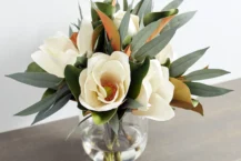 Eucalyptus Leaves: A Comprehensive Guide to  Eucalyptus