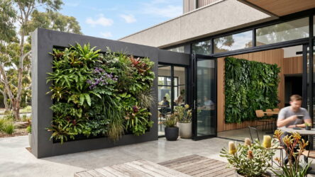 Green Walls Australia: Living vs Artificial Green Wall Panels, Costs & Ideas