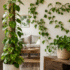 Is Devil’s Ivy Toxic to Cats and Dogs? An Australian Pet Owner’s Guide
