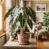 Alocasia Root Rot: Signs, Rescue & Prevention (Australia)