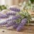 Yellow Artificial Flowers Australia: How to Use Warm Colour Without Making the Room Look Like a Lemon Stand