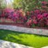 The Ultimate Guide to Artificial Grass/Turf in Australia