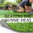All-Seasons Vs Budget Synthetic Turf Australia: Is Upgrade Worth the Cost