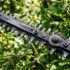 Best Secateurs Australia: How to Choose