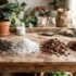 Calathea Light Requirements in Australia (Complete Guide)