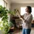 How Often Should You Water Devil’s Ivy in Australia? A Season-by-Season Guide