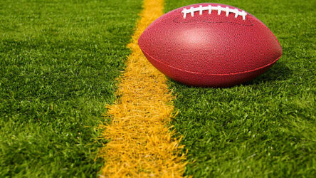 The 365 Day Lawn Australia: All-Seasons Turf for Better Outdoors