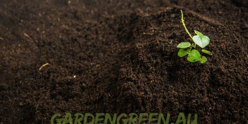 How to Prepare Soil for Australian Native Plants | Garden Green