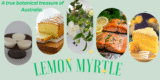 Lemon Myrtle: Types, Regional Suitability expert guide for Aussie