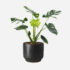 Transform Your Garden with All Seasons Synthetic Turf & Eco-Friendly Faux Plants