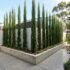 Fastest-Growing Privacy Hedges Australia (Honestly)