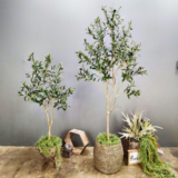 “Fake Olive Tree: Luxurious Greenery for Australian Homes “