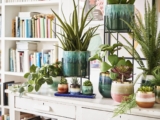 Plant Pots: Soul of floral beauty, Planters adds Elegance