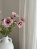 Poppies Elegance, A comprehensive you need to know