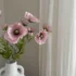 Photo Frames elevate your home/office by pairing Artificial Flowers