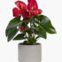 Transform Your Home with Artificial Faux Grass, Plants, and Flowers