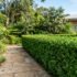 Cordless vs Petrol Hedge Trimmers: Which to Buy