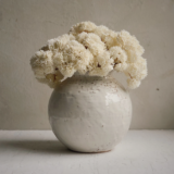 White Pots: Bring Everlasting Elegance into Your Home